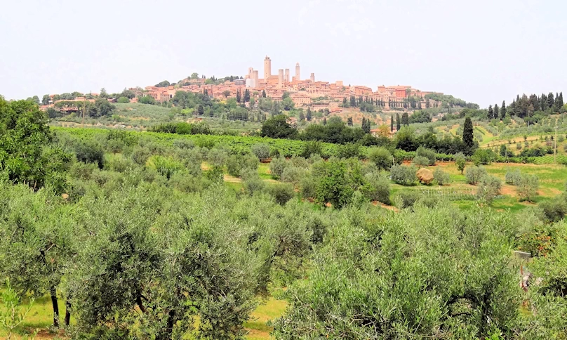 Immerse yourself in San Gimignano, Italy's "Manhattan of the Middle Ages" - Explore its iconic towers, medieval streets, and renowned Vernaccia wine. Discover art, history, and breathtaking Tuscan countryside views.