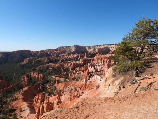 A 16 day loop itinerary through Colorado and Utah; Denver, Glenwood Springs, Colorado National Monument, Arches, Canyonlands, Bryce Canyon, Capitol Reef, Zion, Durango, Telluride and back to Denver. An amazing adventure!