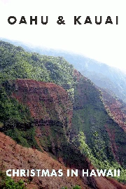 Family Trip to Oahu and Kauai