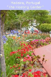 Funchal Madeira