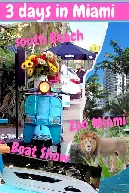 3 Days in Miami