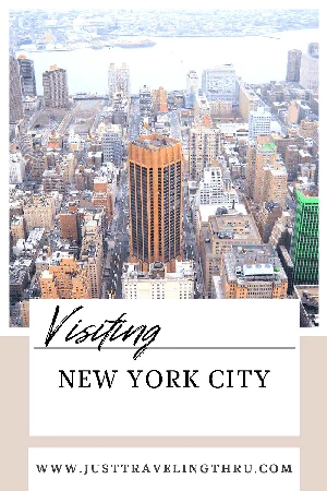 Family Trip to New York City