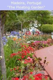 Funchal Madeira