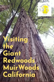 Muir Woods