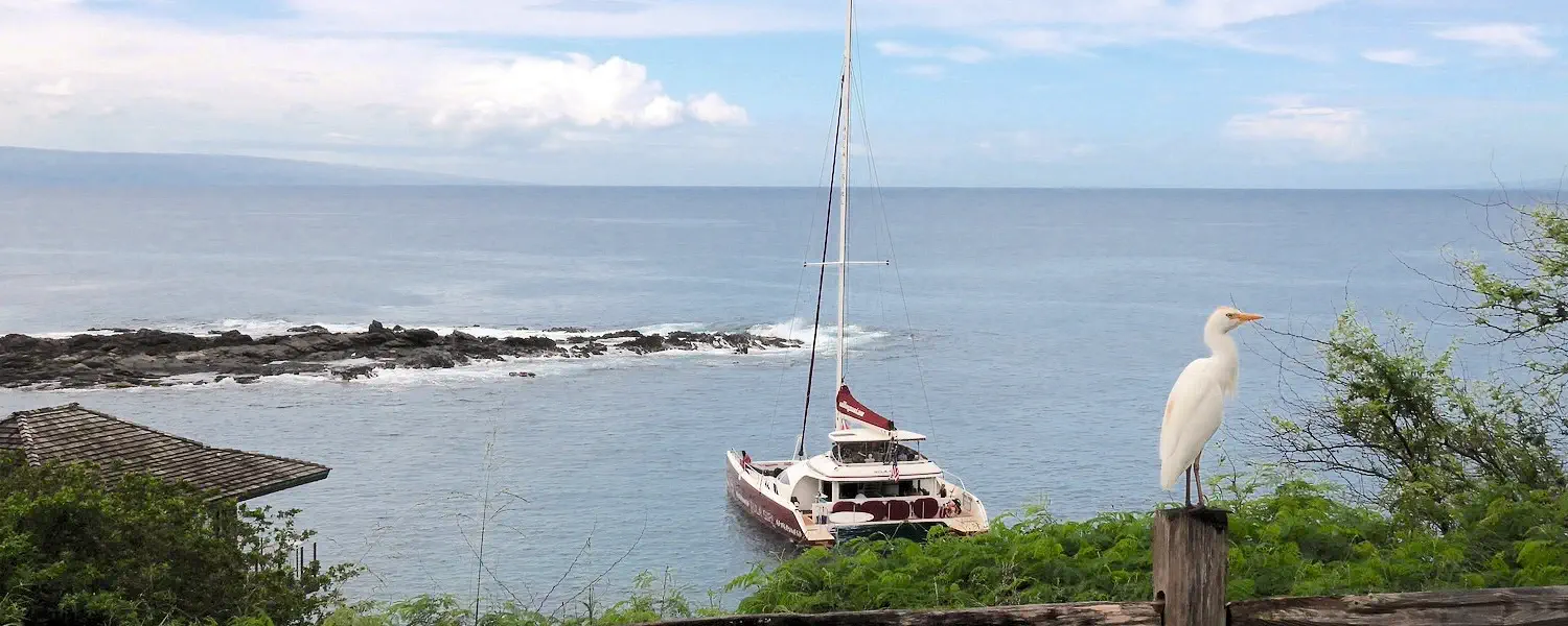 Visit Maui Hawaii