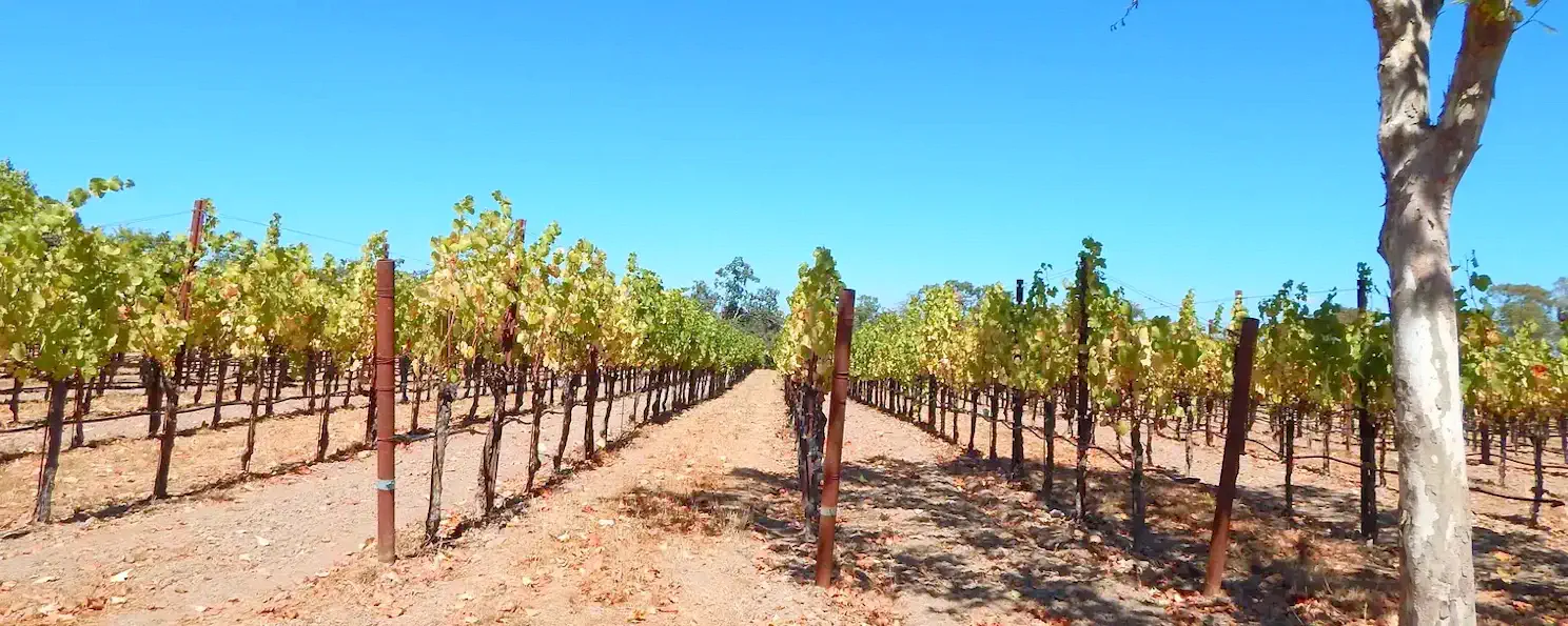 Visit Santa Rosa, CA