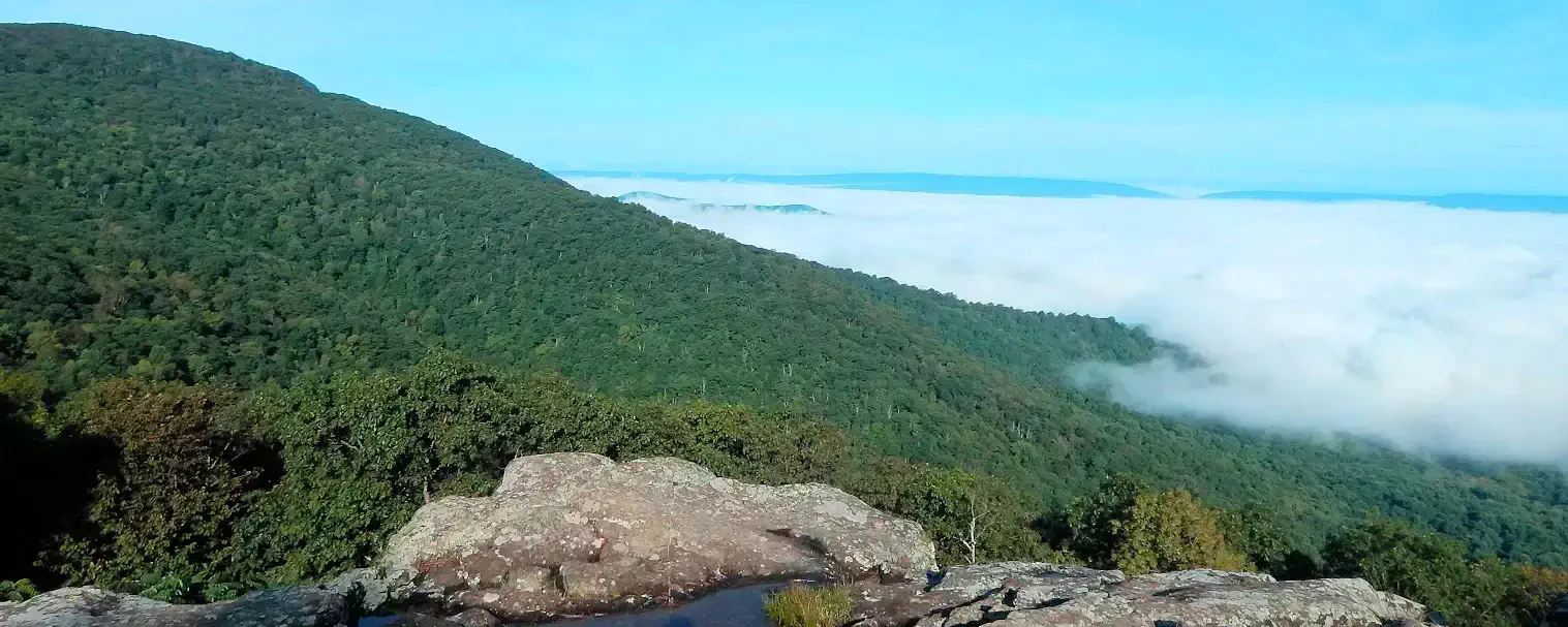 Our Blue Ridge Road Trip Adventure