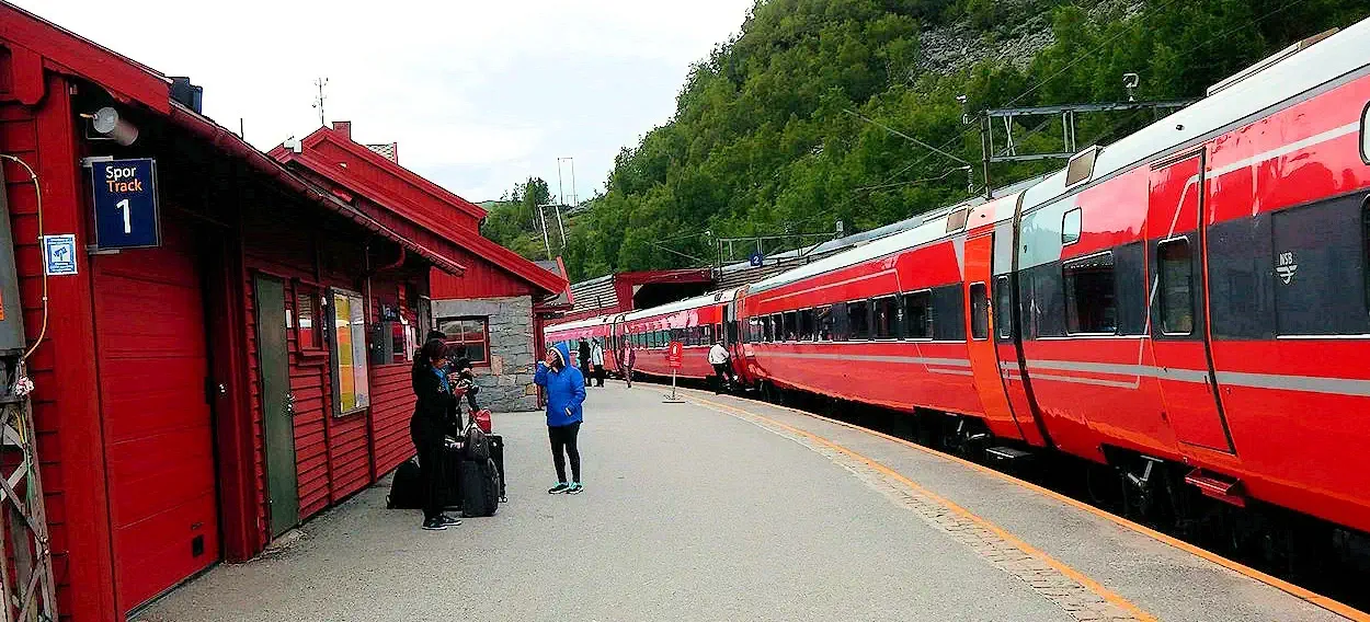 Norway in a Nutshell – Scenic Journey from Flåm to Myrdal and Bergen