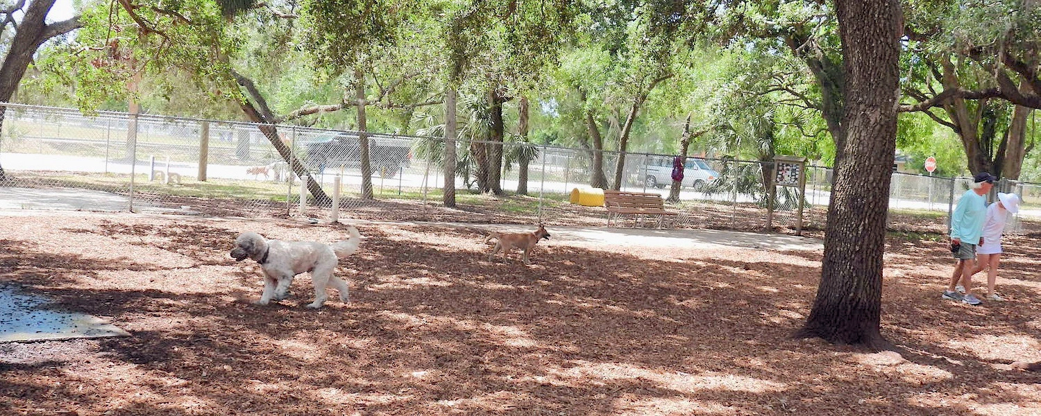 Lakeview Dog Park Sarasota