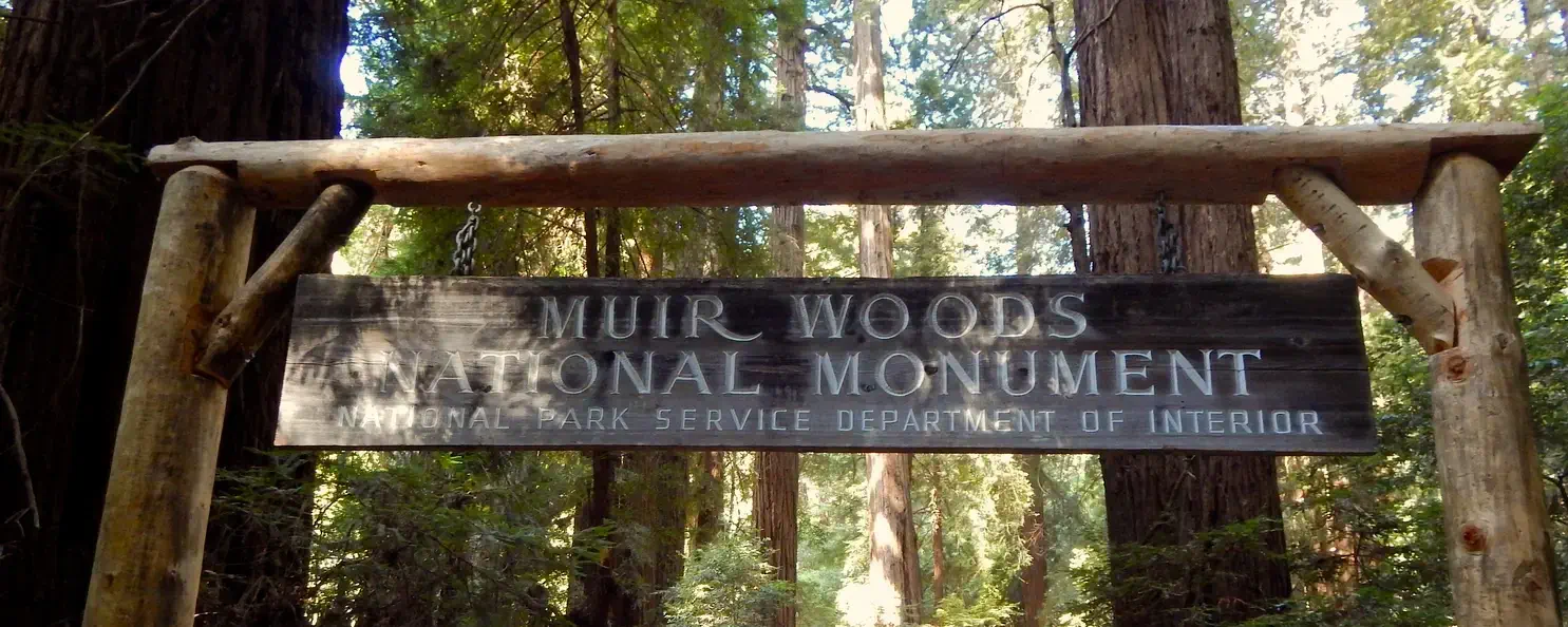Visit Muir Woods National Monument