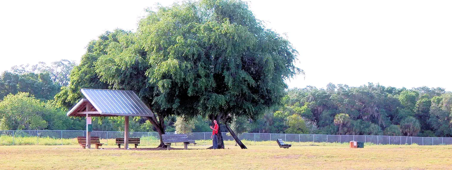 17th Street Park Sarasota