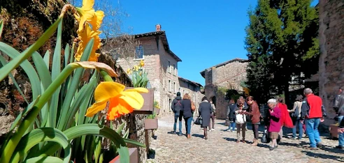 A Scenic Gem Along the Rhône River