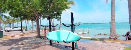 Relaxation & Recreation - Explore Sarasota's Bayfront Park