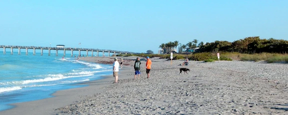 Unleashed Fun on Siesta Key - Brohard Beach Dog Park Sarasota