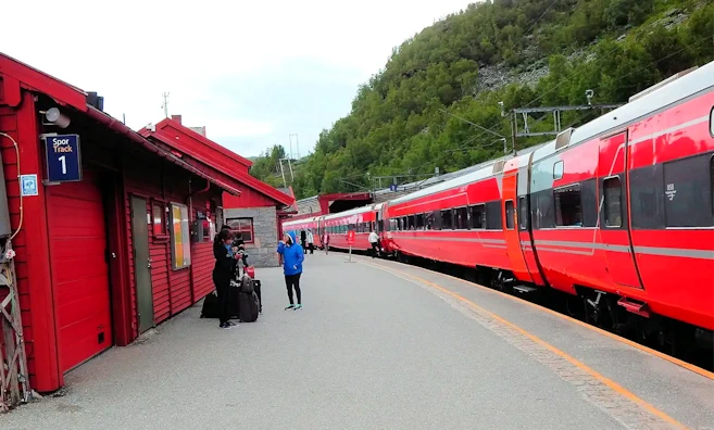 Our Final Stop on the Norway in a Nutshell Tour