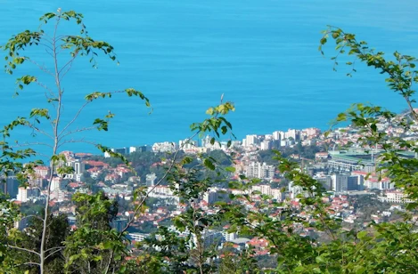 Discover Funchal, Madeira's charming capital. Explore colorful streets, historic sites & volcanic wonders. Hike or boat trip adventures!