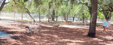 Unleashed Fun on Siesta Key - Brohard Beach Dog Park Sarasota