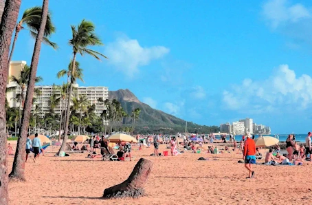 Our Hawaiian Islands Search for the best Malasadas