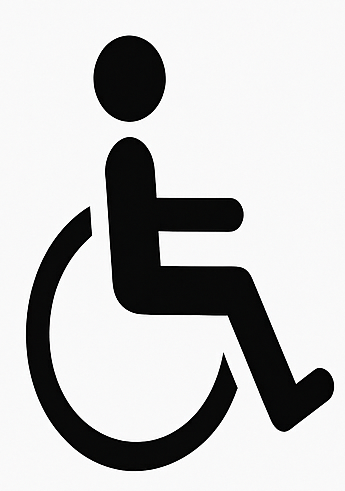 Wheelchair Icon Image