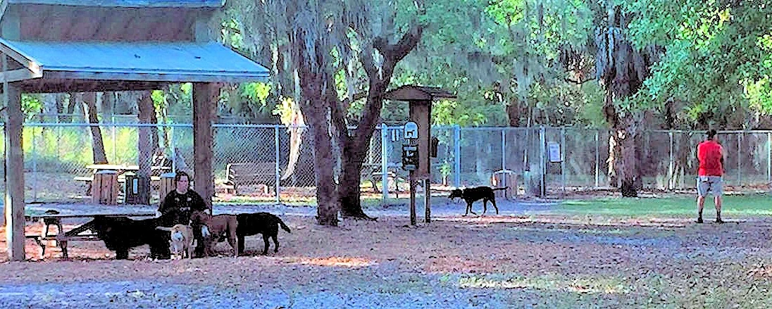 Woodmere Park Venice