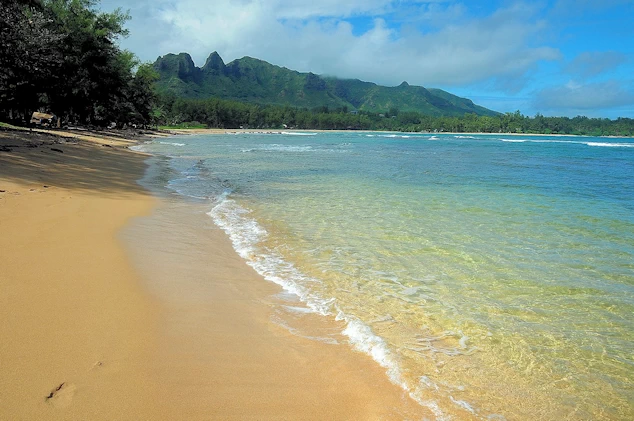 Our island-by-island list of the top sites we recommend visiting in Hawaii. We will provide you with additional info to help you with your own research