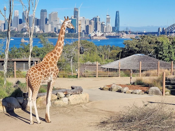 Sydney, Australia Image Gallery
