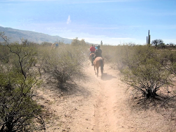 Dude Ranch Horseback Riding