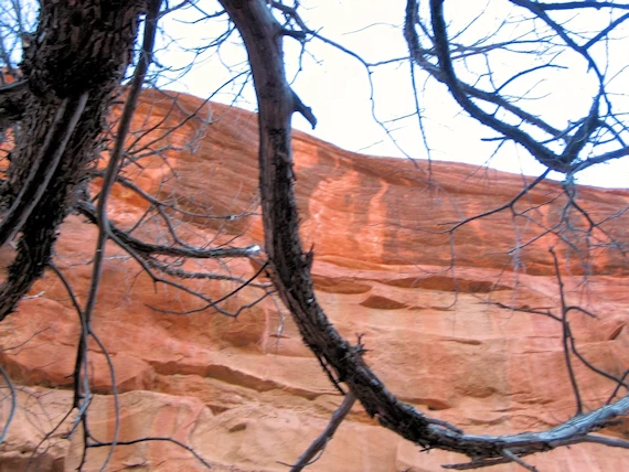 Sedona Canyon, AZ: Palatki Heritage Site Cliff