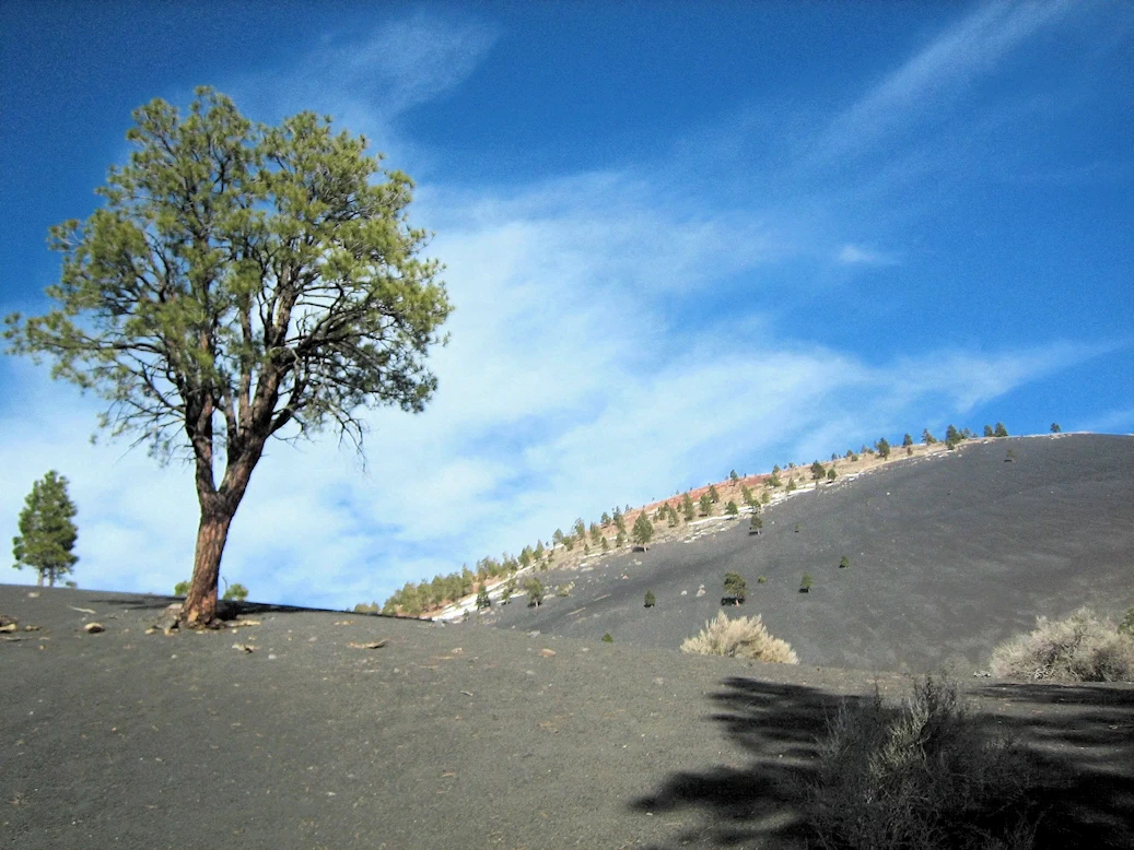 Exploring Sunset Crater Volcano National Monument