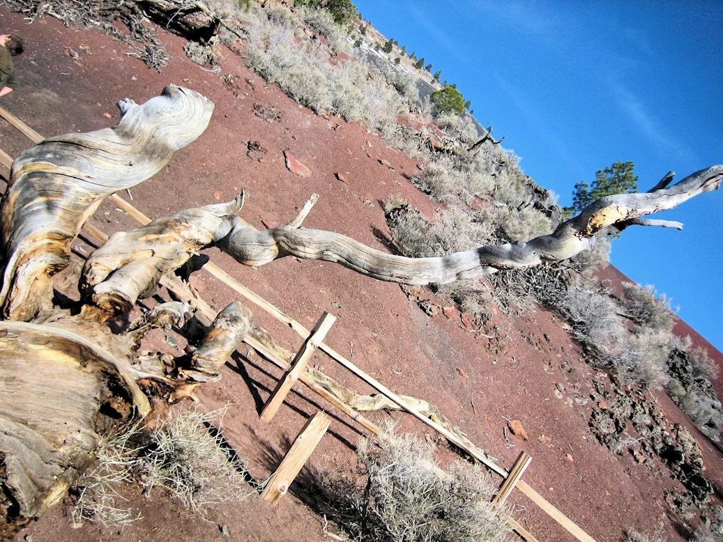 Exploring Sunset Crater Volcano National Monument