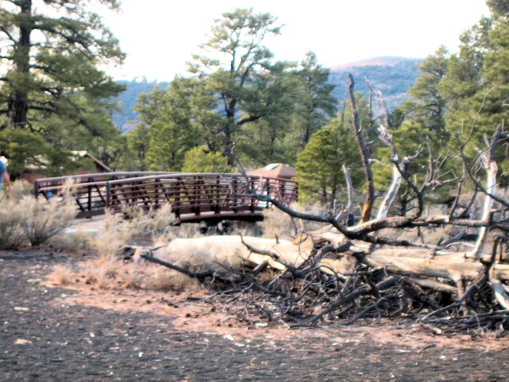 Exploring Sunset Crater Volcano National Monument