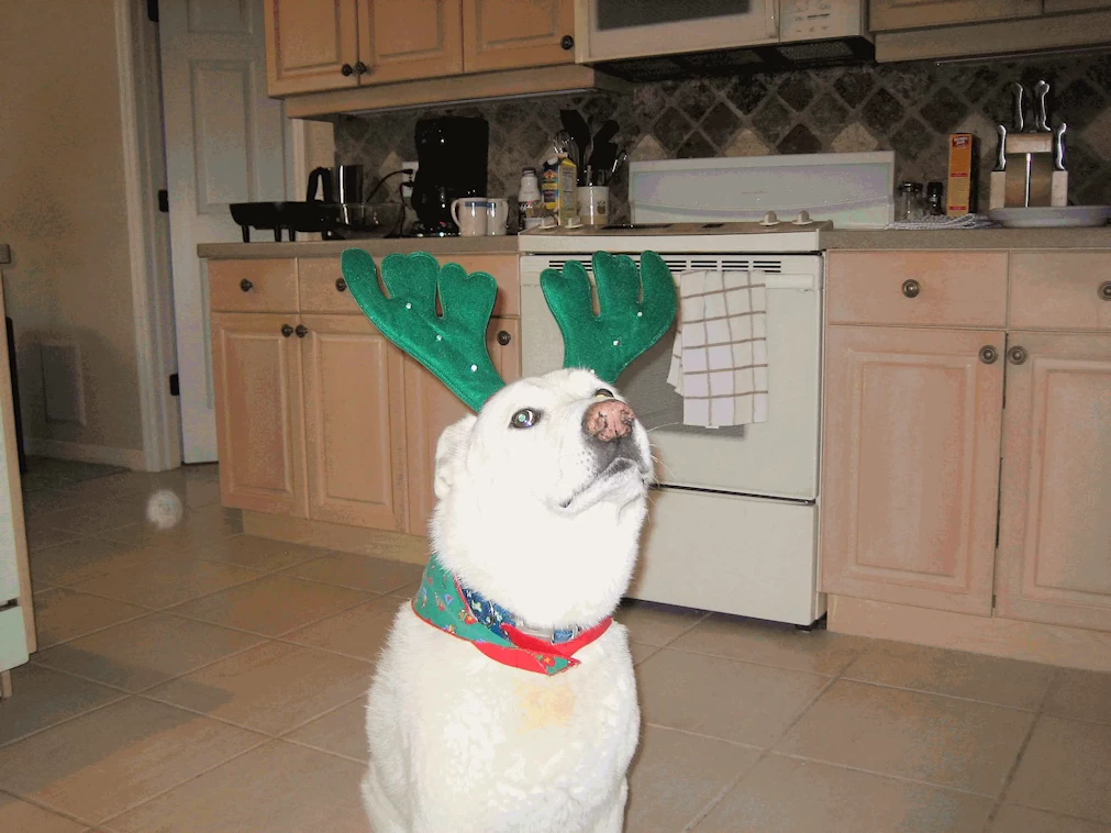 I am done with this hat!