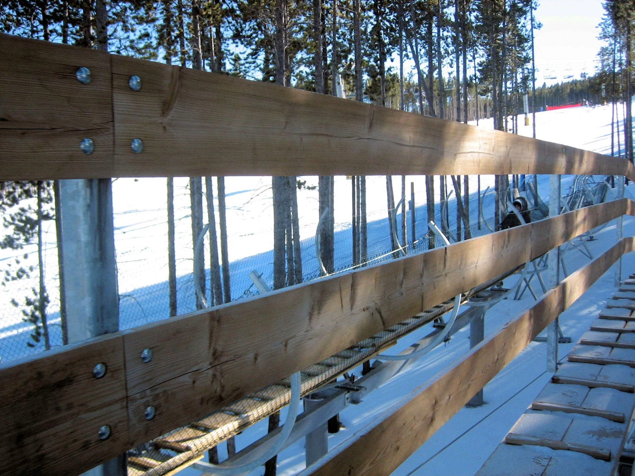 Gold Runner Alpine Coaster