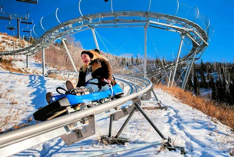 Gold Runner Alpine Coaster