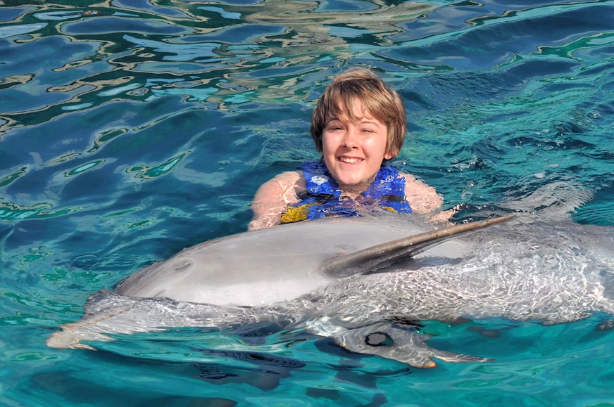 Dolphin Discovery Cozumel Island