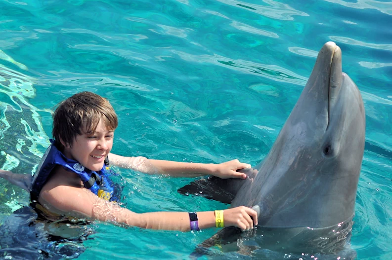 Dolphin Discovery Cozumel Island