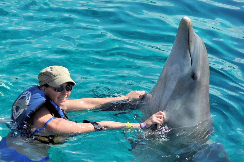 Dolphin Discovery Cozumel Island