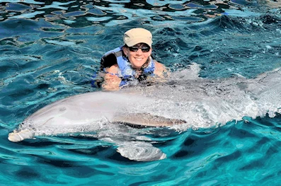 Dolphin Discovery Cozumel Island