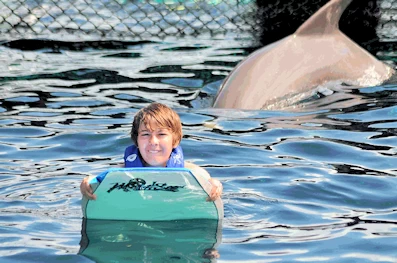 Dolphin Discovery Cozumel Island