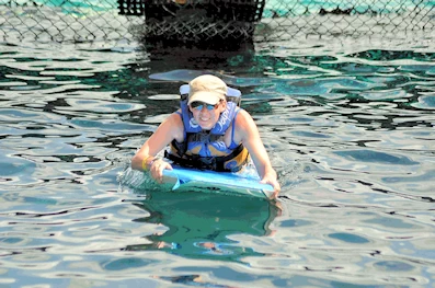 Dolphin Discovery Cozumel Island