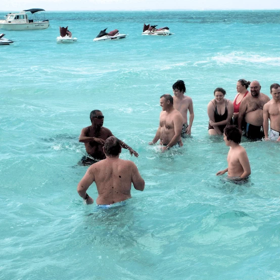 Sting Ray City