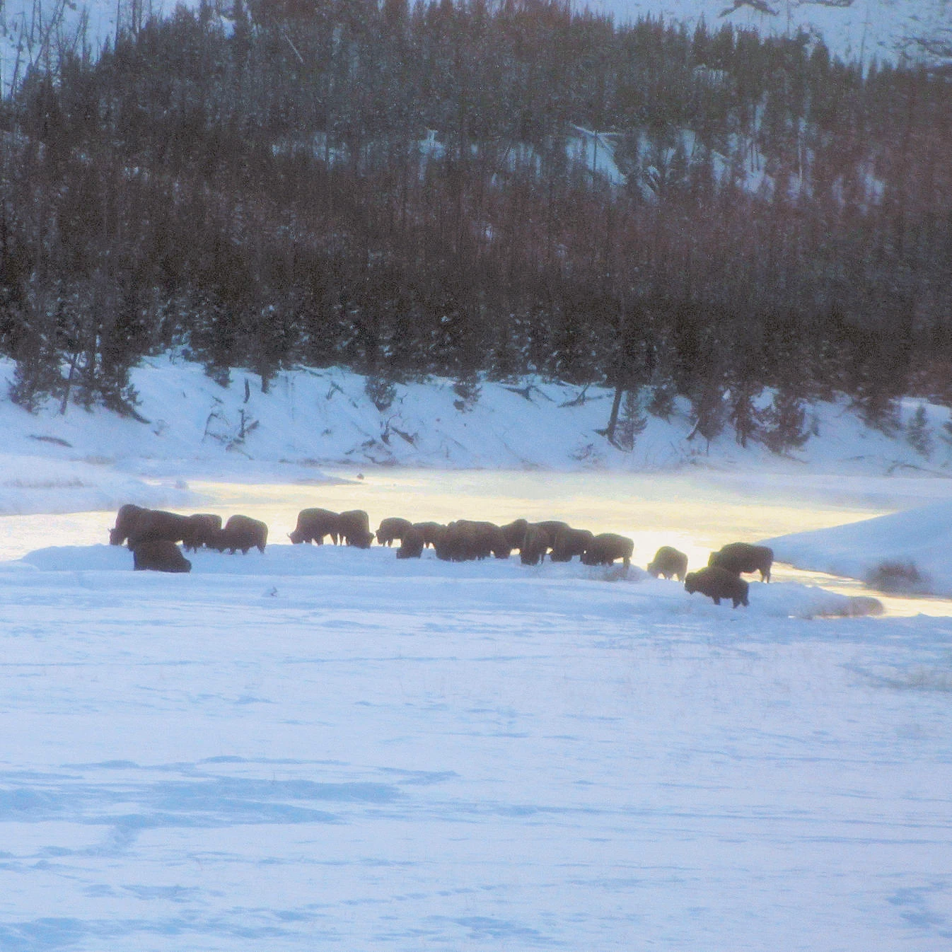 A description and images from our 2013 Grand Targhee Ski Trip.