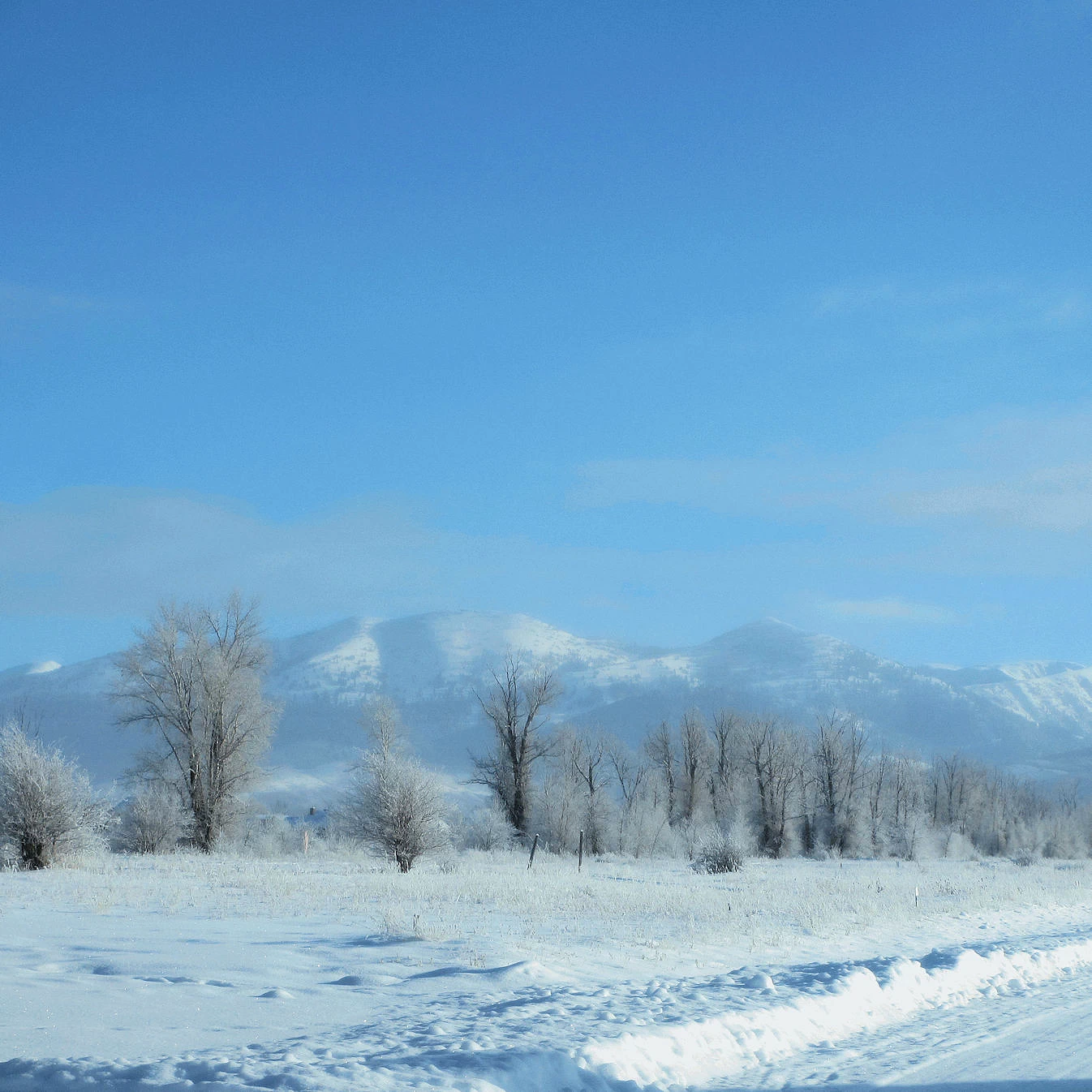 A description and images from our 2013 Grand Targhee Ski Trip.