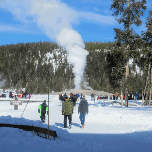 Experience America's First National Park