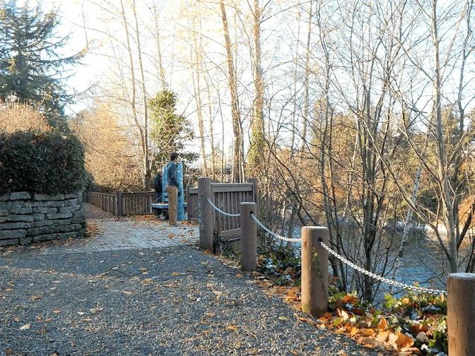 Montlake Cut