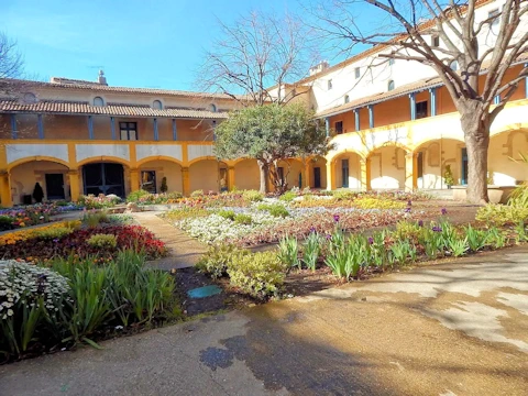Hospital Interior Garden