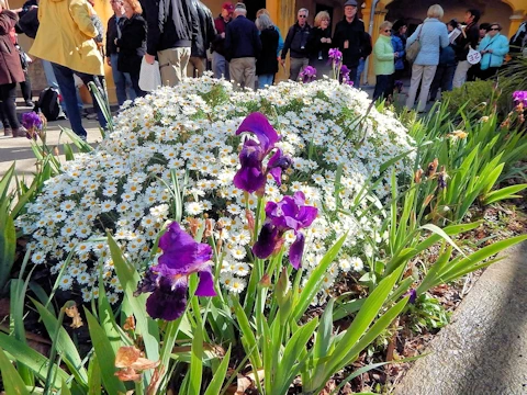 Hospital Interior Garden