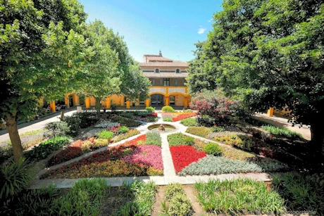 Hospital Interior Garden
