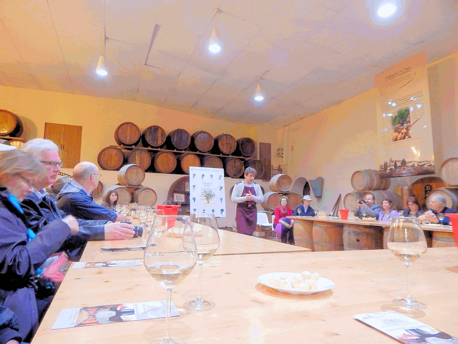 Wine Tasting Class
