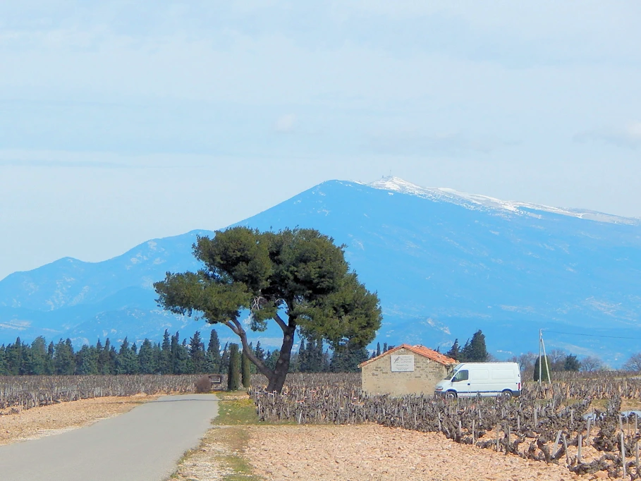 Montmirail Mountains